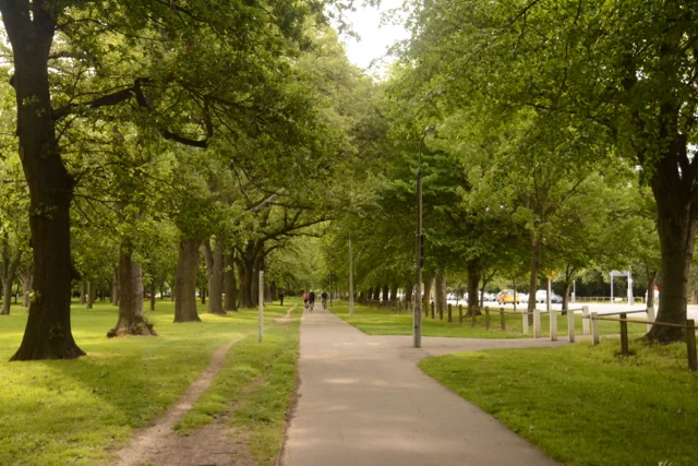 So warm and green in Christchurch!