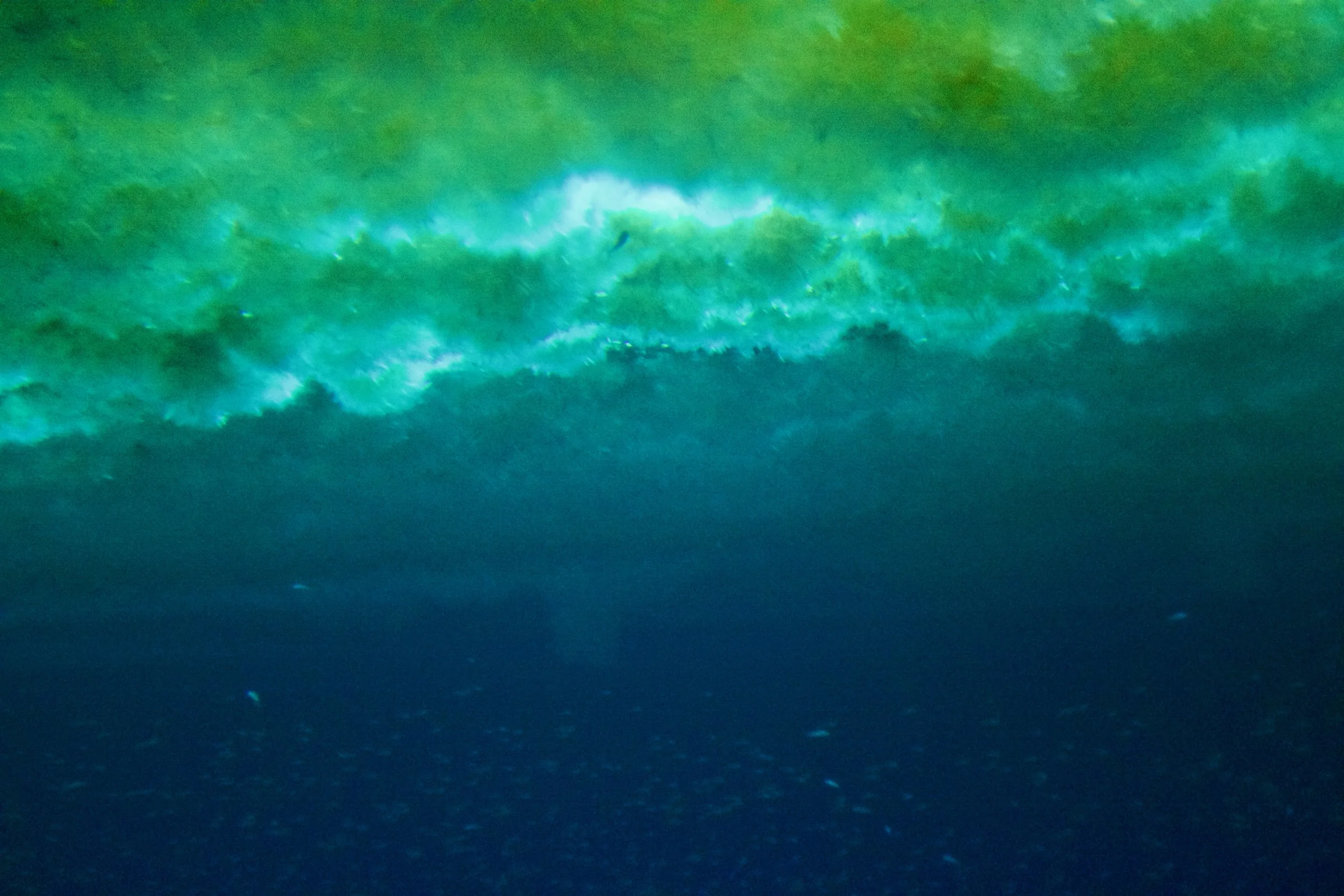 Under the sea ice