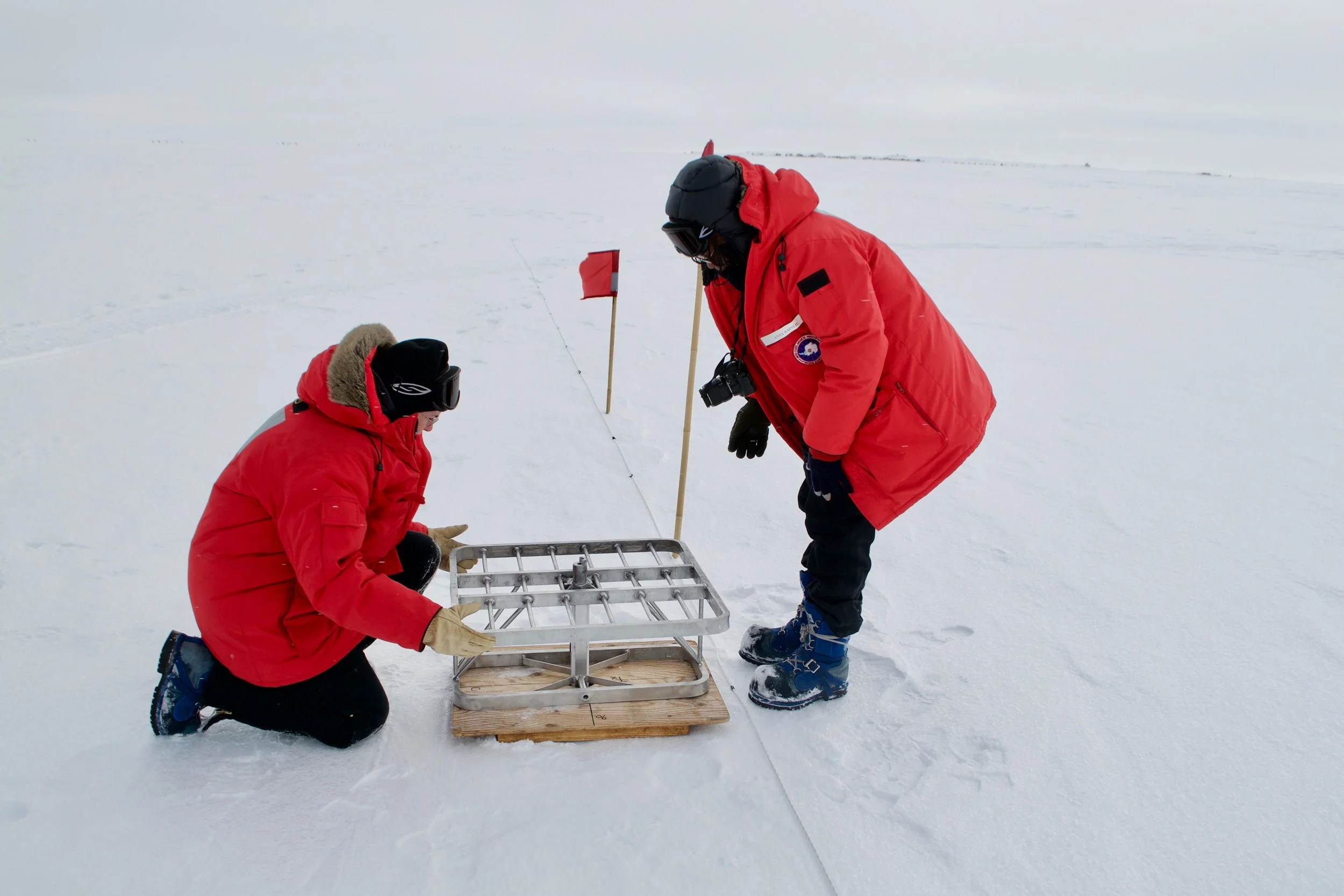 Rachel and Anny setting up the antennae for our radar survey. 