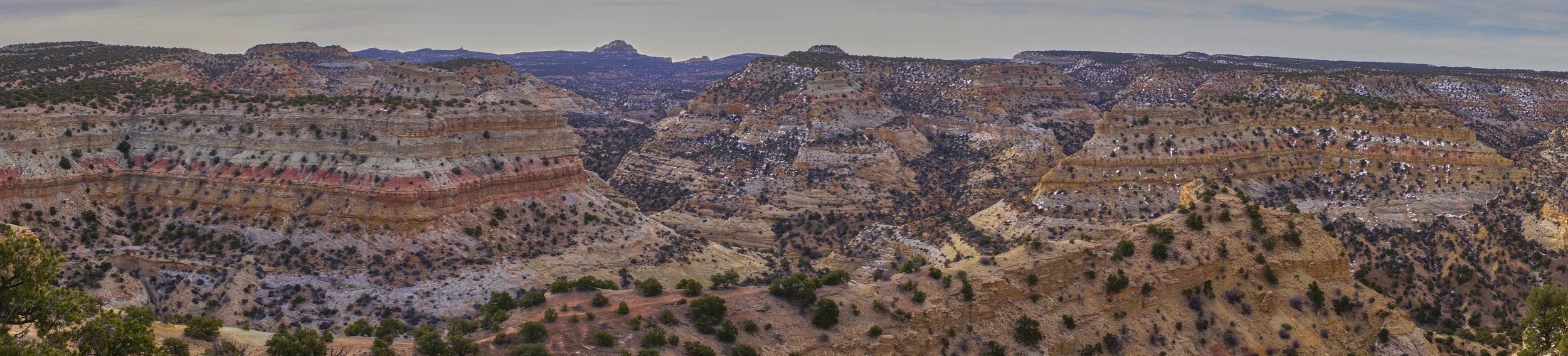 Desert_01608.jpg