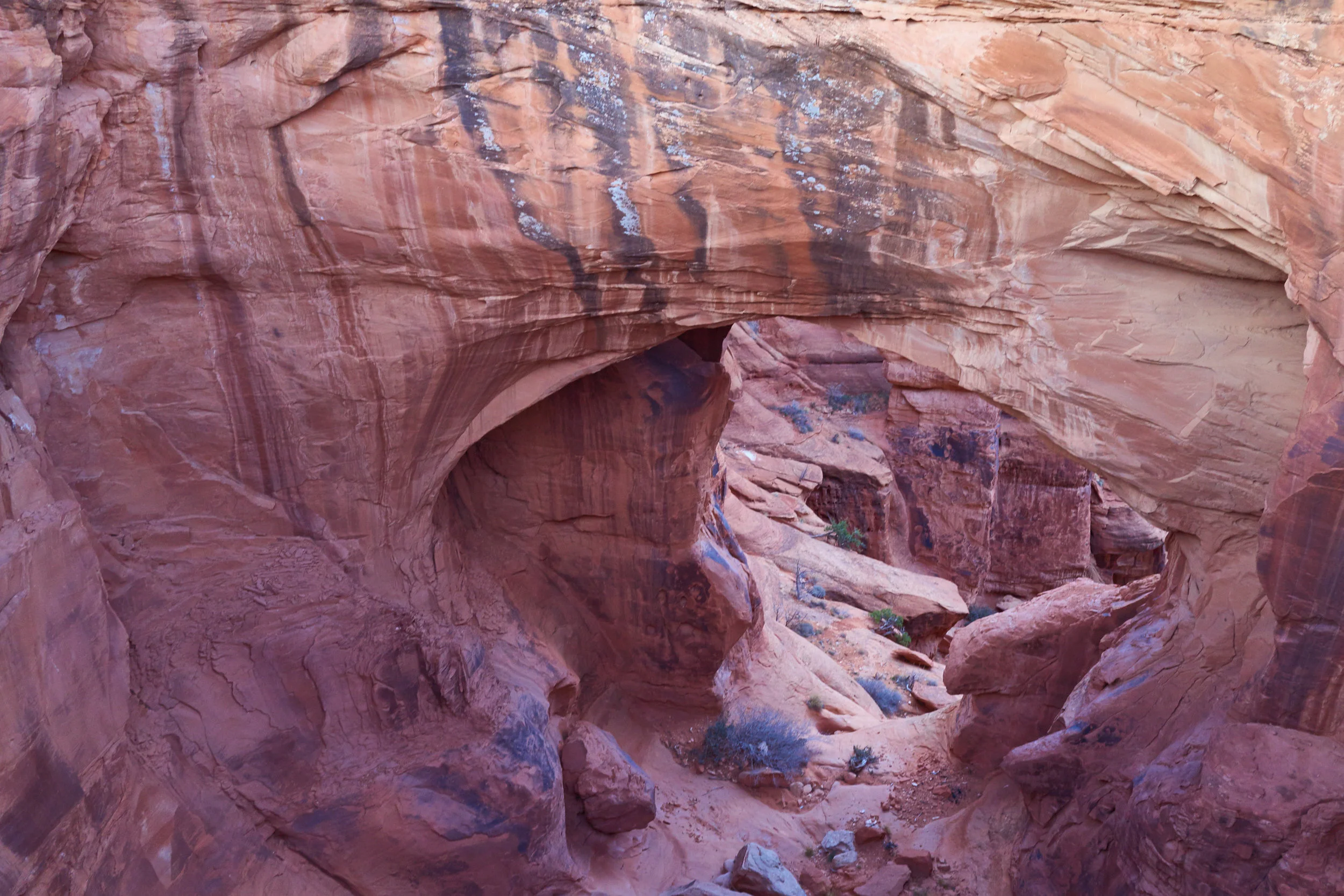 Desert_01630.jpg