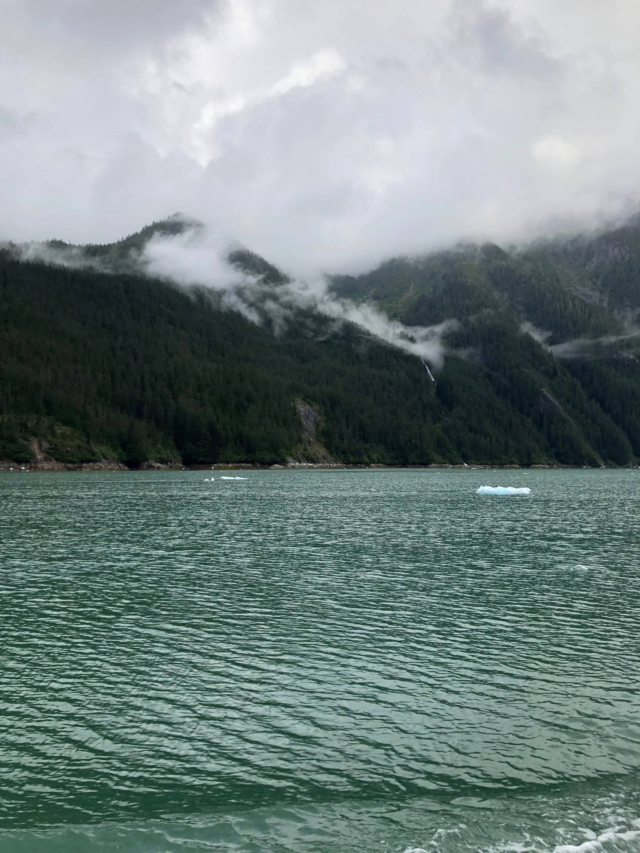 fjordtrip3.jpeg