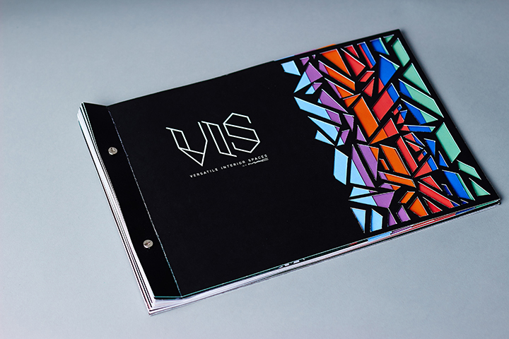 Vis-Book0008.jpg