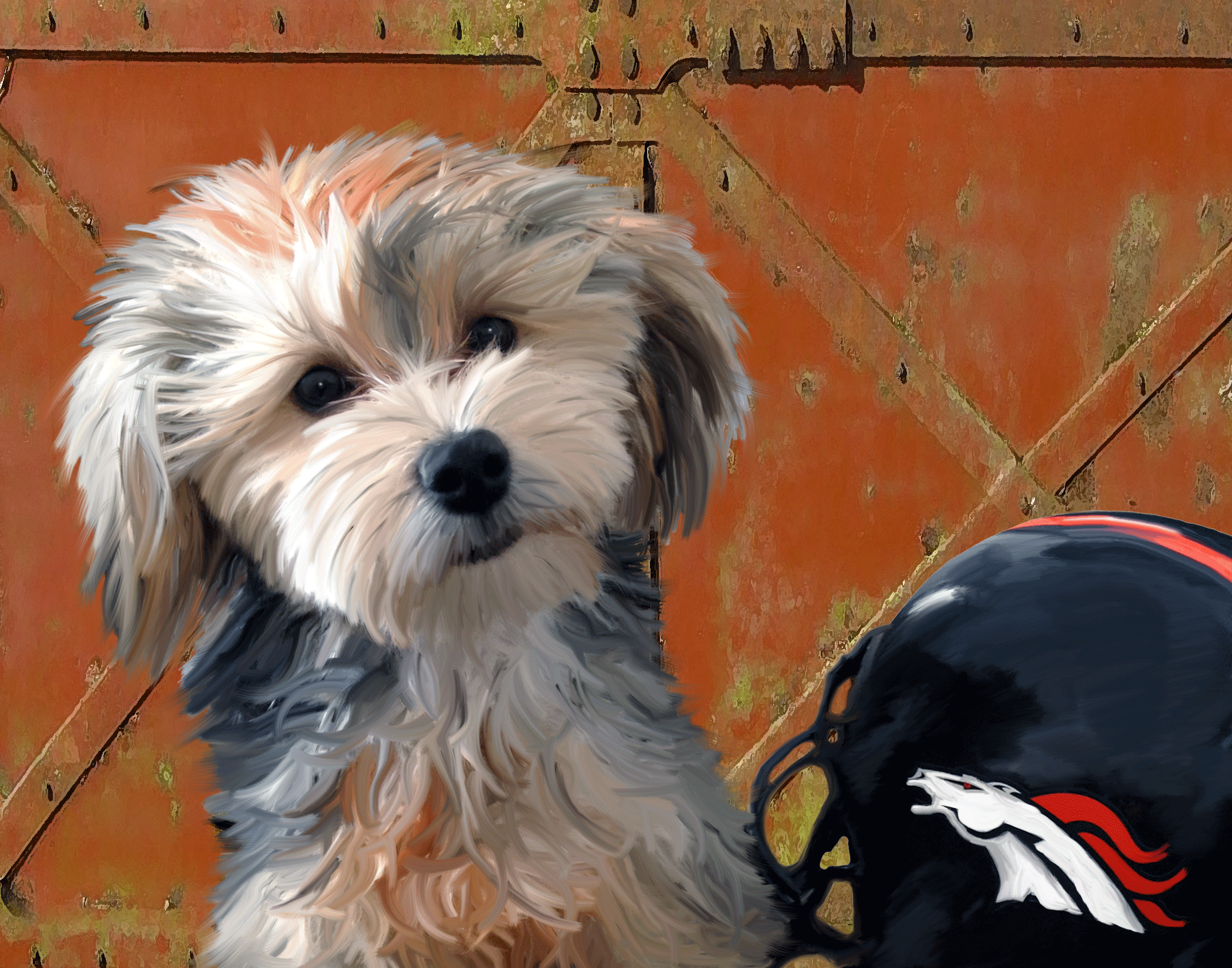 Duke-Broncos-Web.gif