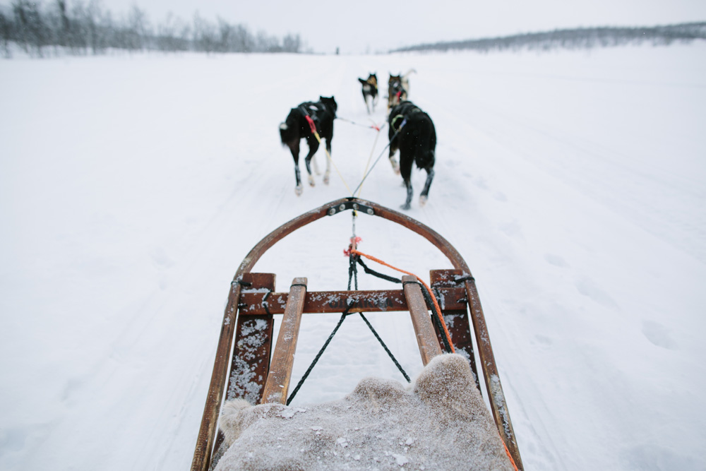 Melissa-Sung-Photography-Tavel-Kiruna-Lapland-Sweden-Photographer020.jpg