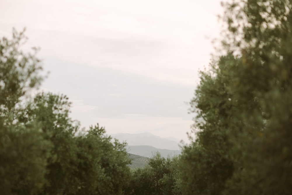 melissa_sung_photography_destination_wedding_spain_andalusia_olive_groves001.jpg
