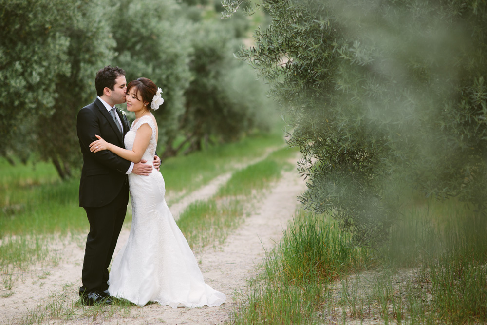 melissa_sung_photography_destination_wedding_spain_andalusia_olive_groves048.jpg