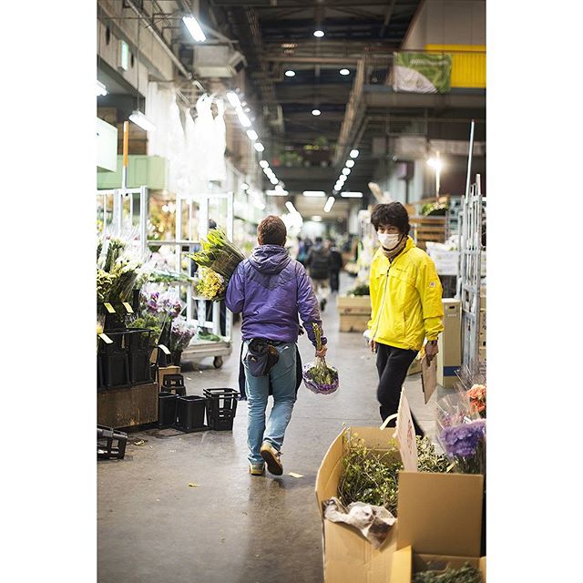 Day 8 | 5am at Ota flower market
#market #dawn #yellow #purple