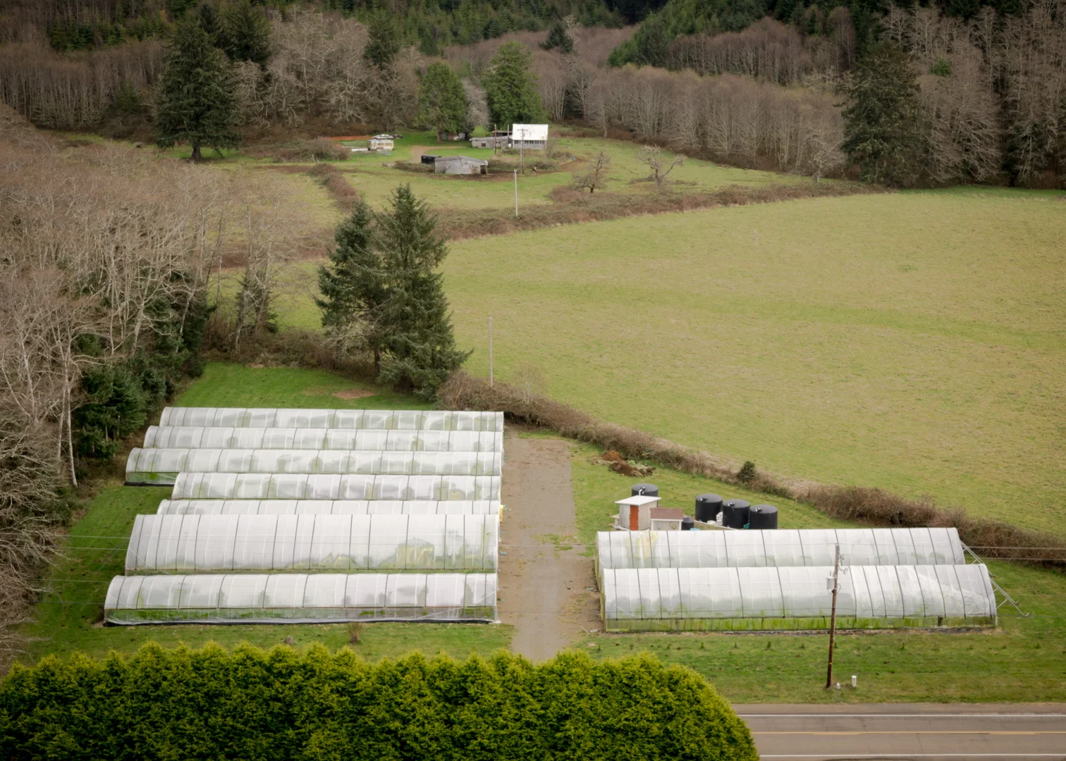 Our farm - the stream is just behind the greenhouses.