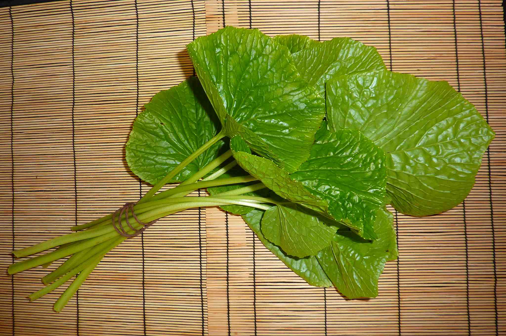 We sell the stems (petioles) attached to the leaves. There are approximately 35 leaves per pound. They are available year-round.