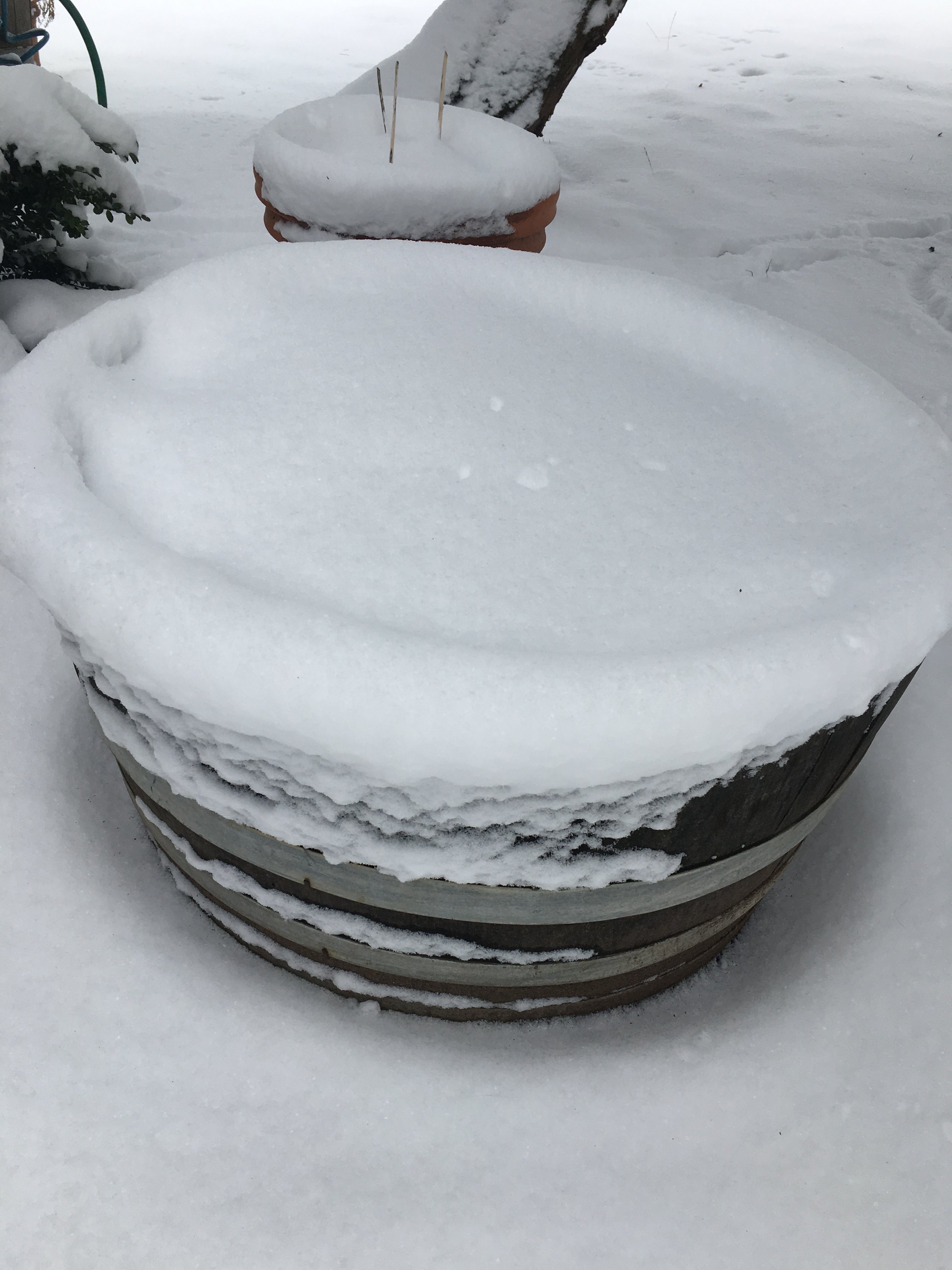 Barrel #2 with a snow blanket. Jan. 11 2017.