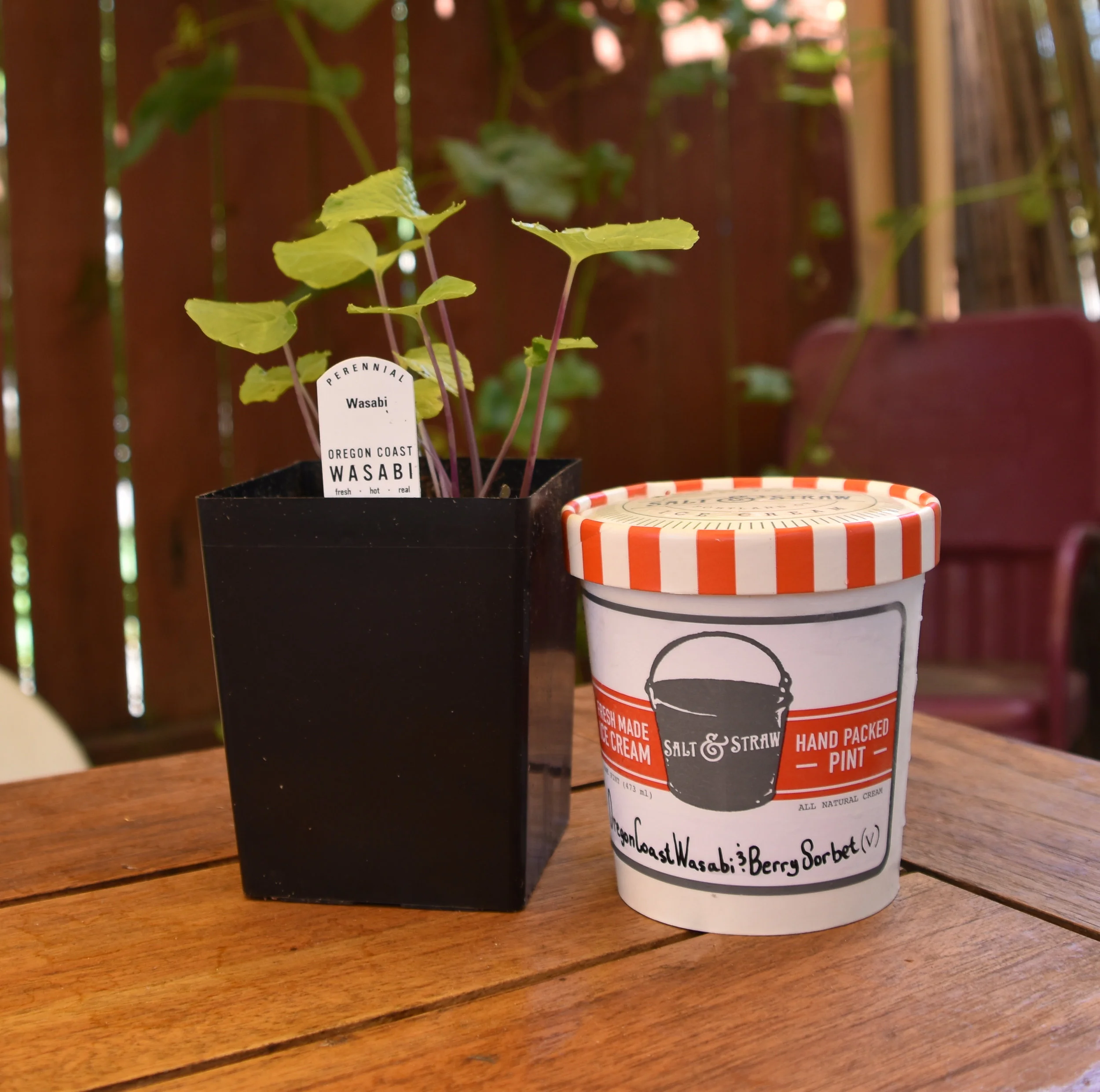Salt and Straw’s Raspberry Wasabi Sorbet Made With Oregon Coast Wasabi! -110.jpg