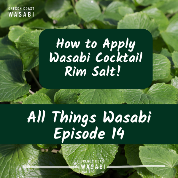How to Apply Wasabi Cocktail Rim Salt! All Things Wasabi Episode 14