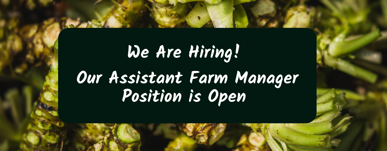 We Are Hiring! Our Assistant Farm Manager Position is Open — The Wasabi ...