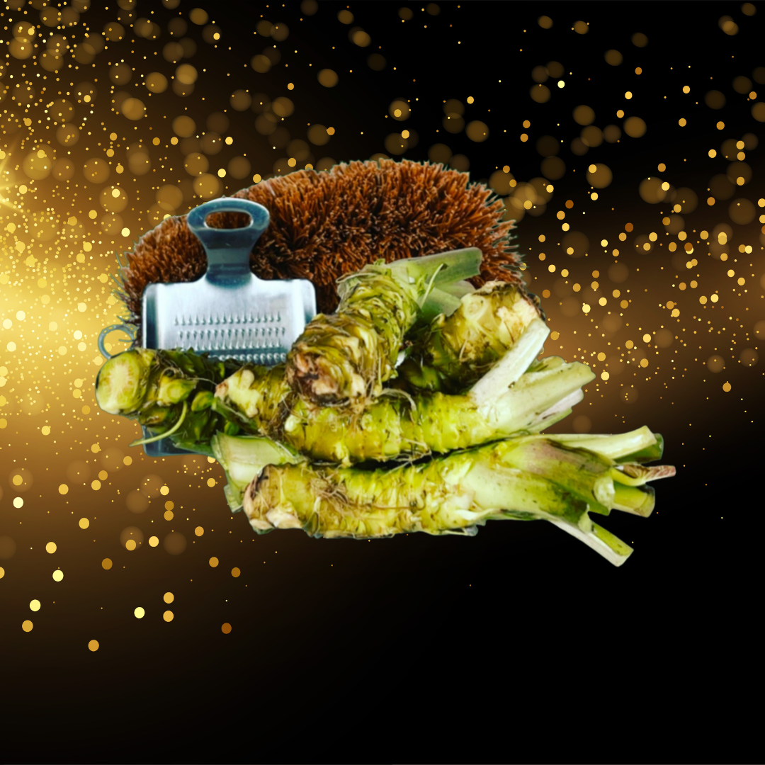 Background Oregon Coast New Branding With Background (9).png