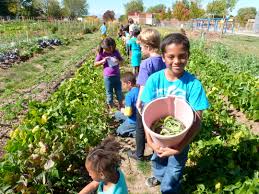 kids in farm.jpeg
