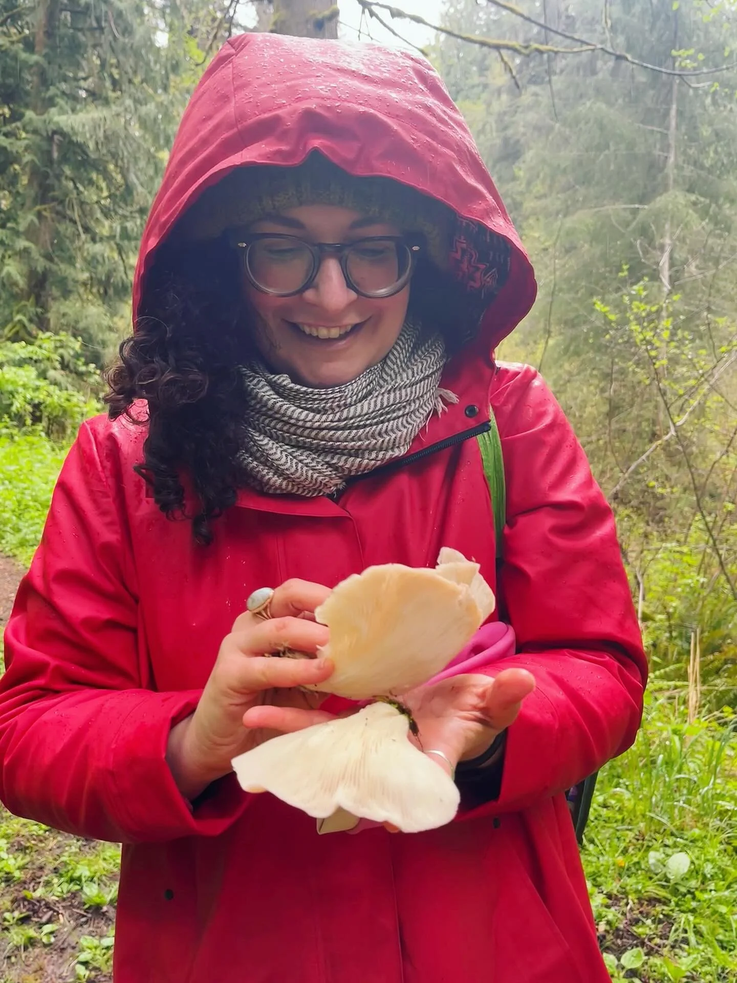 Of all the things I&rsquo;ve foraged, there&rsquo;s nothing that compares to finding edible mushrooms.

I don&rsquo;t know about you, but the past few weeks have felt so accelerated and intense. Lots to do... and fast. Yesterday, instead of plowing f