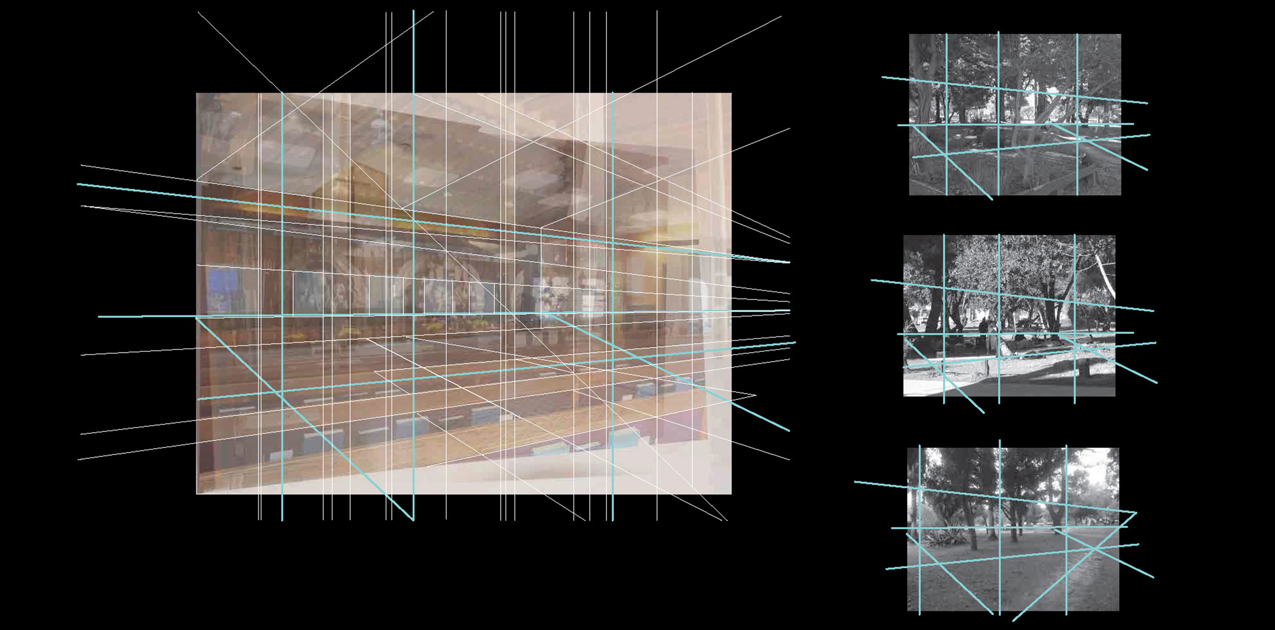 Averaged superimposition of church, synagogue, Hindu temple, and mosque interiors. Average geometries overlaid over park spaces illustrate similarities between formal and informal spaces of congregation.
