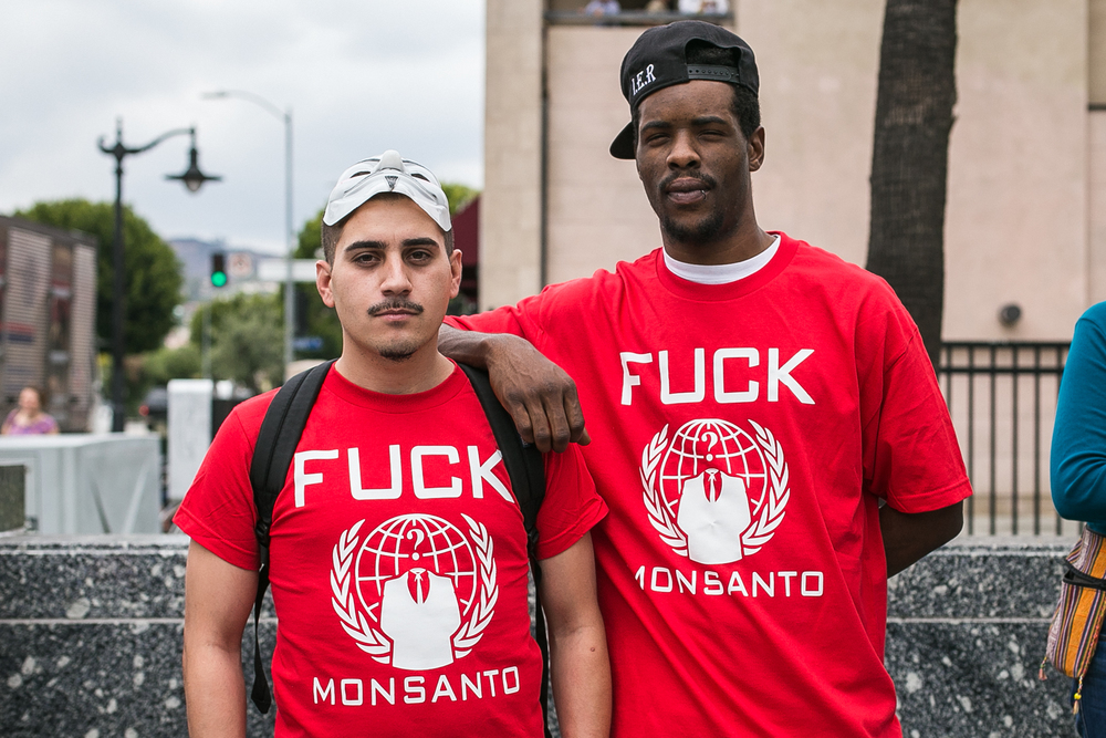 Monsanto LA-49.jpg