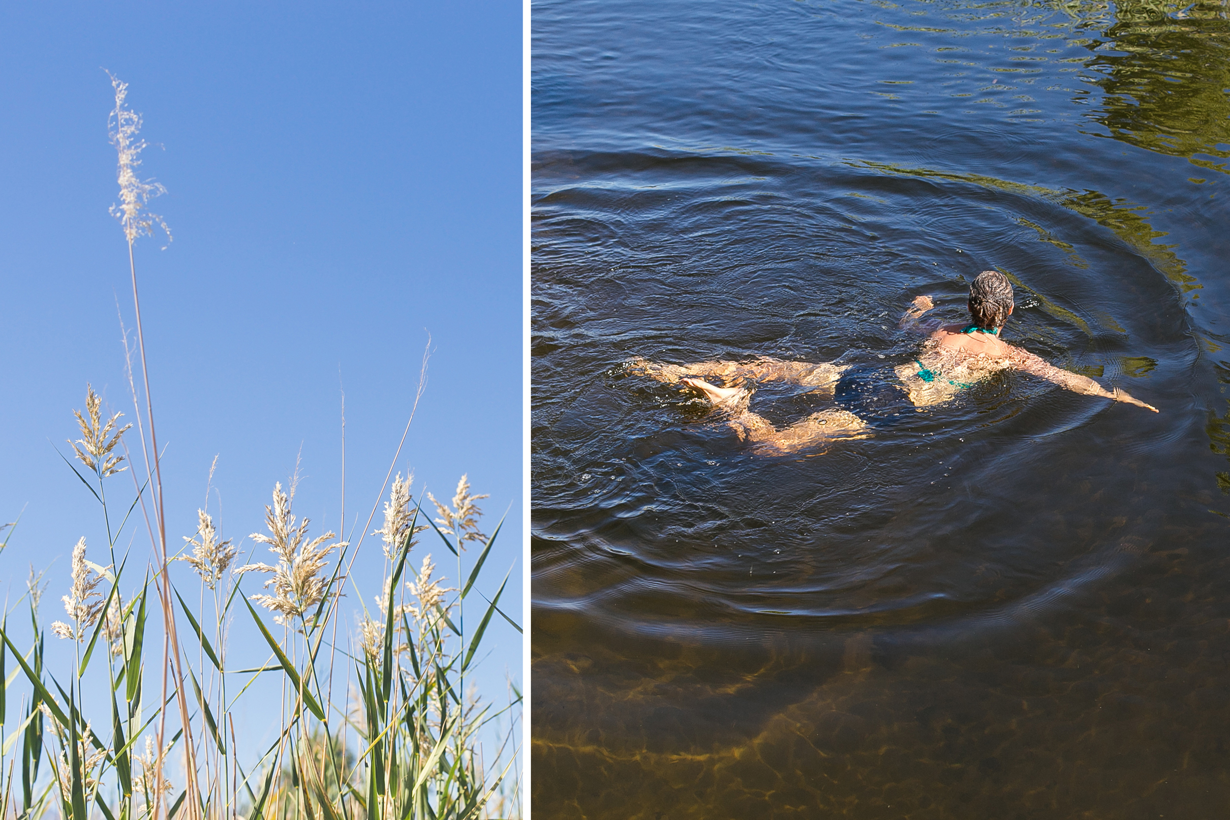 blog swiming.jpg