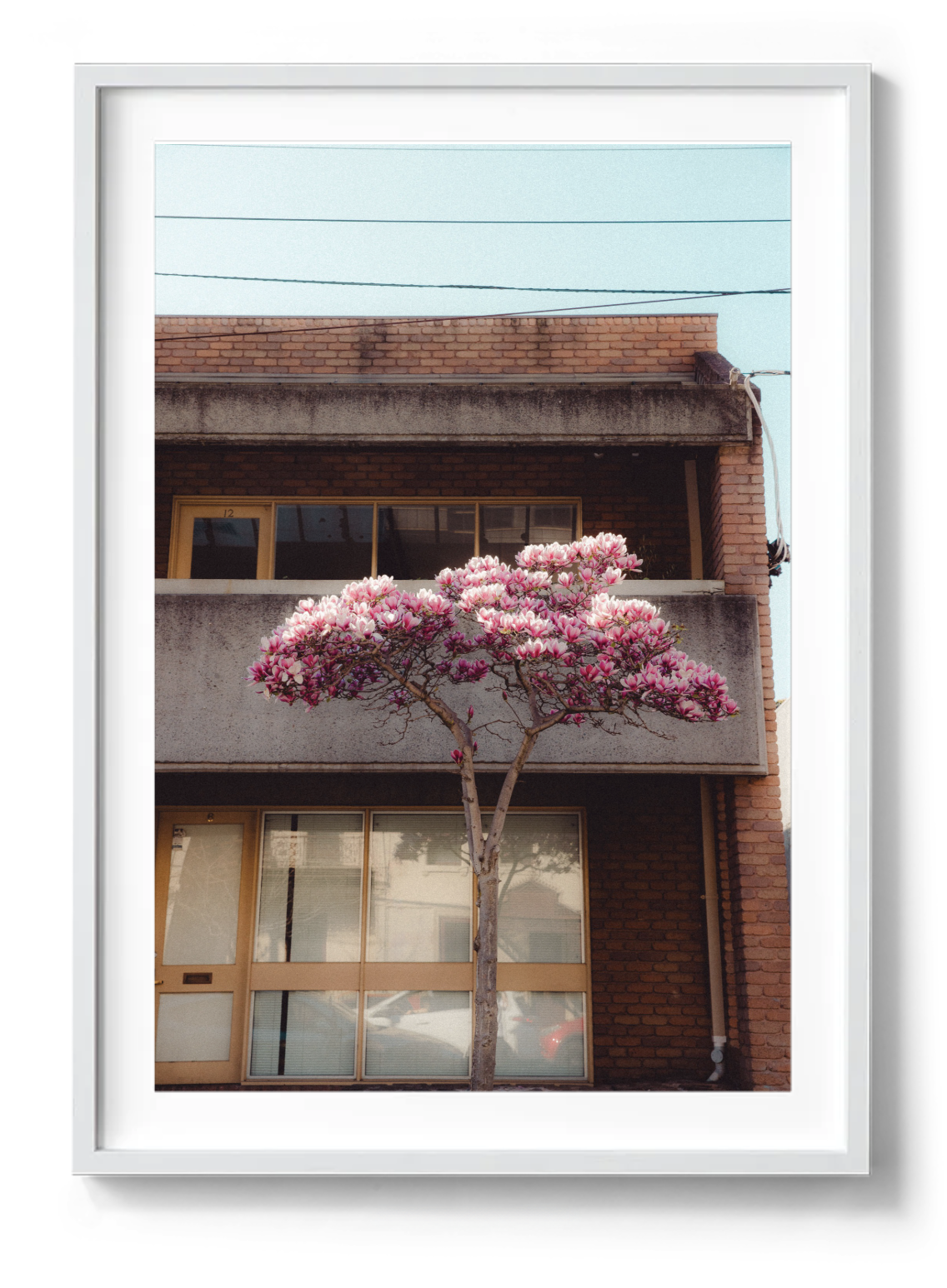 Screenshot 2025-11-28 at 12.13.27 pm.png