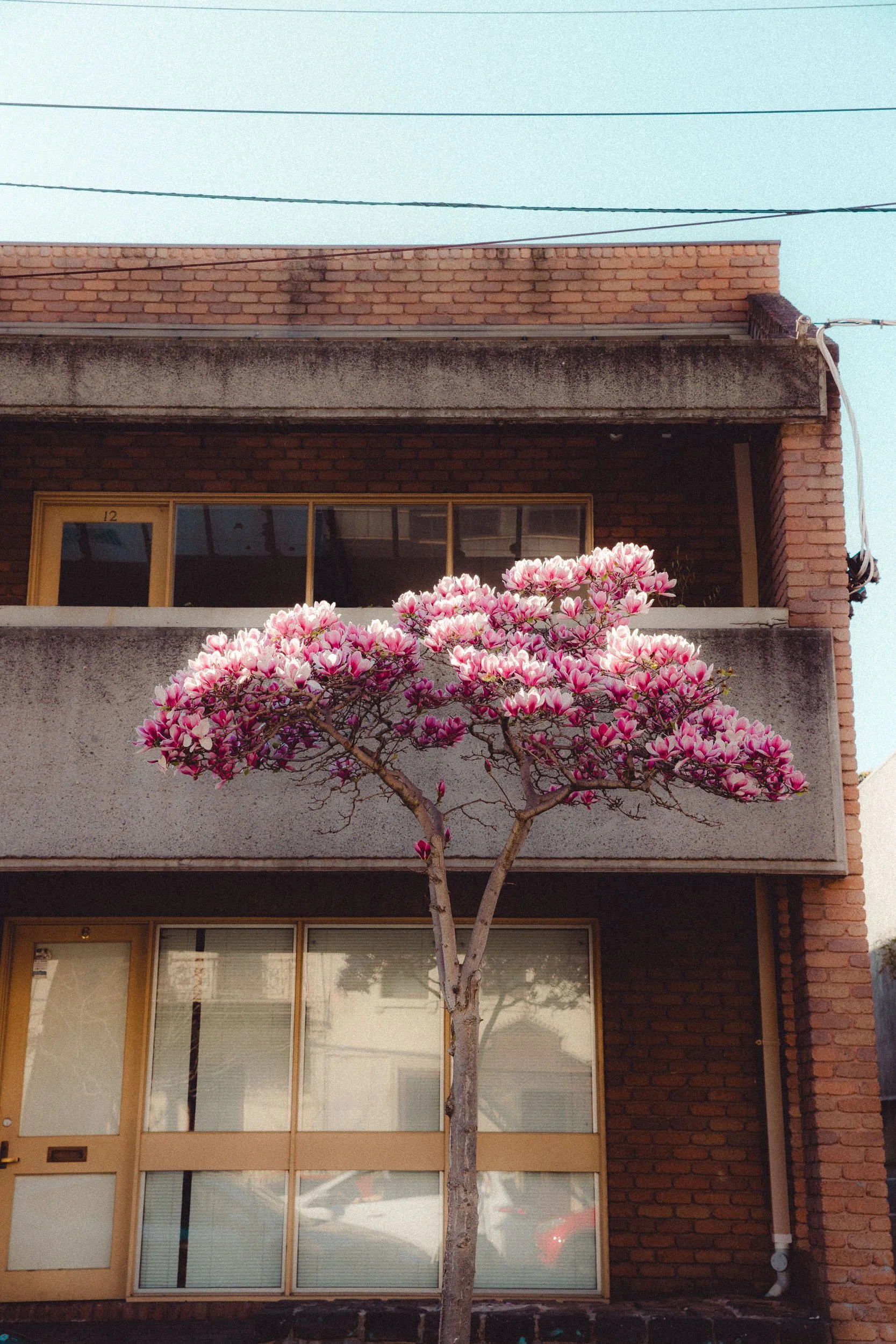 _15A8185-Edit.jpg