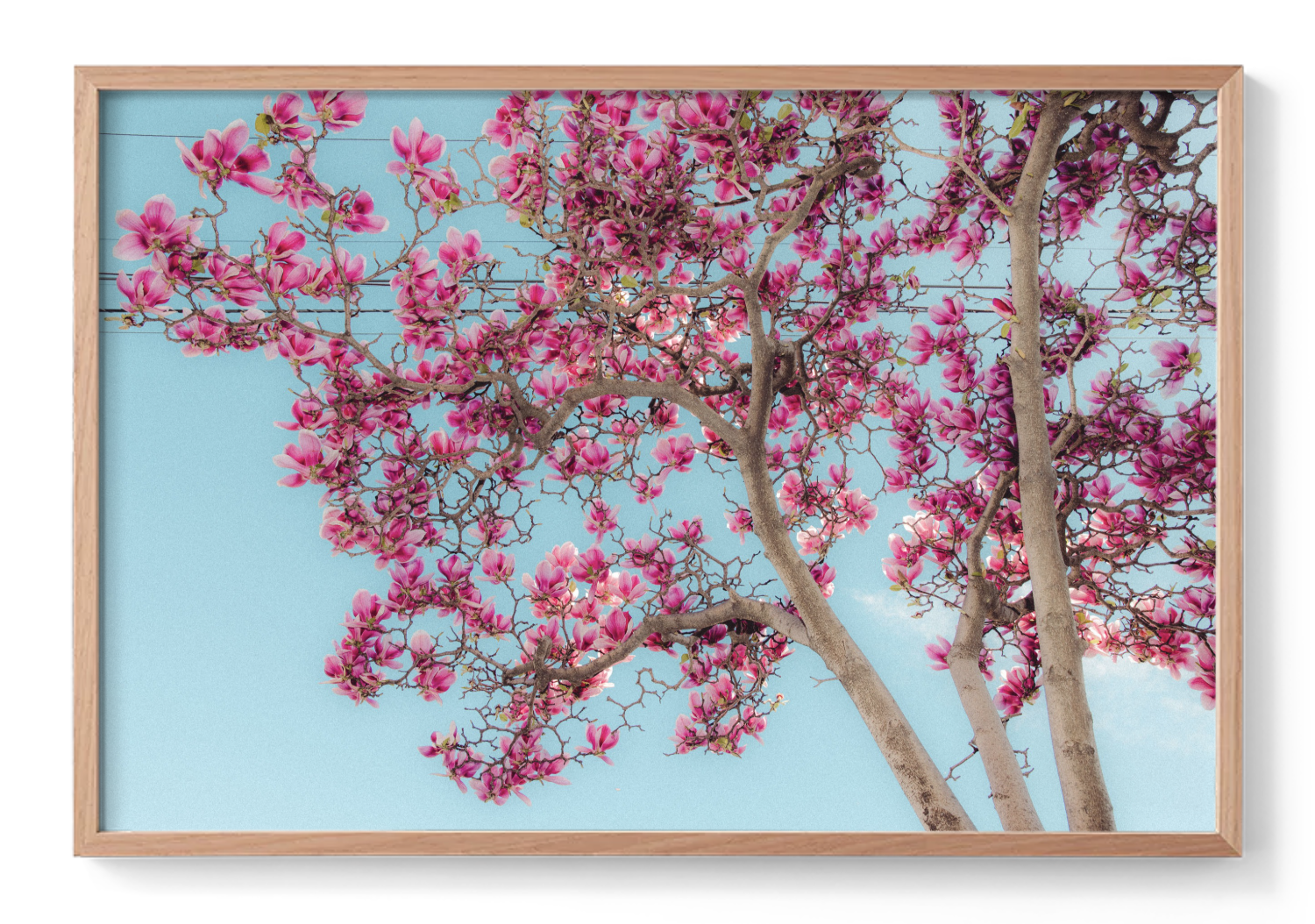 Screenshot 2025-11-28 at 12.18.51 pm.png