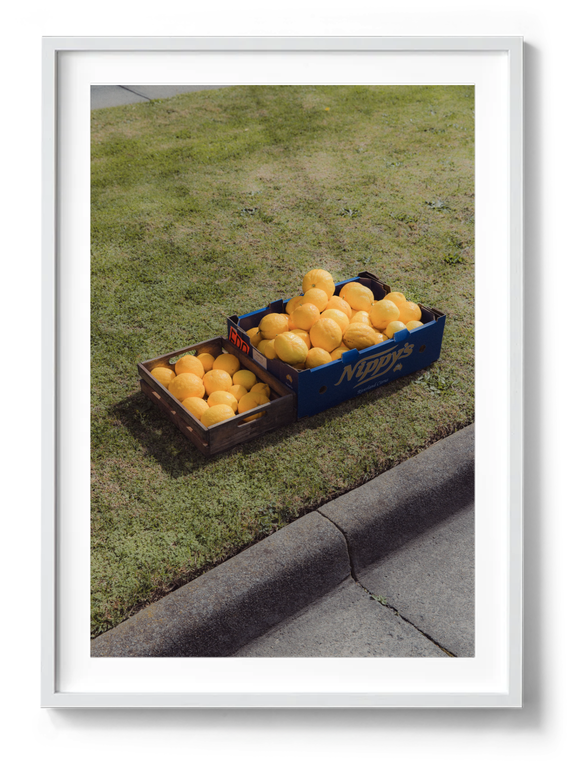 Screenshot 2025-11-28 at 12.14.43 pm.png