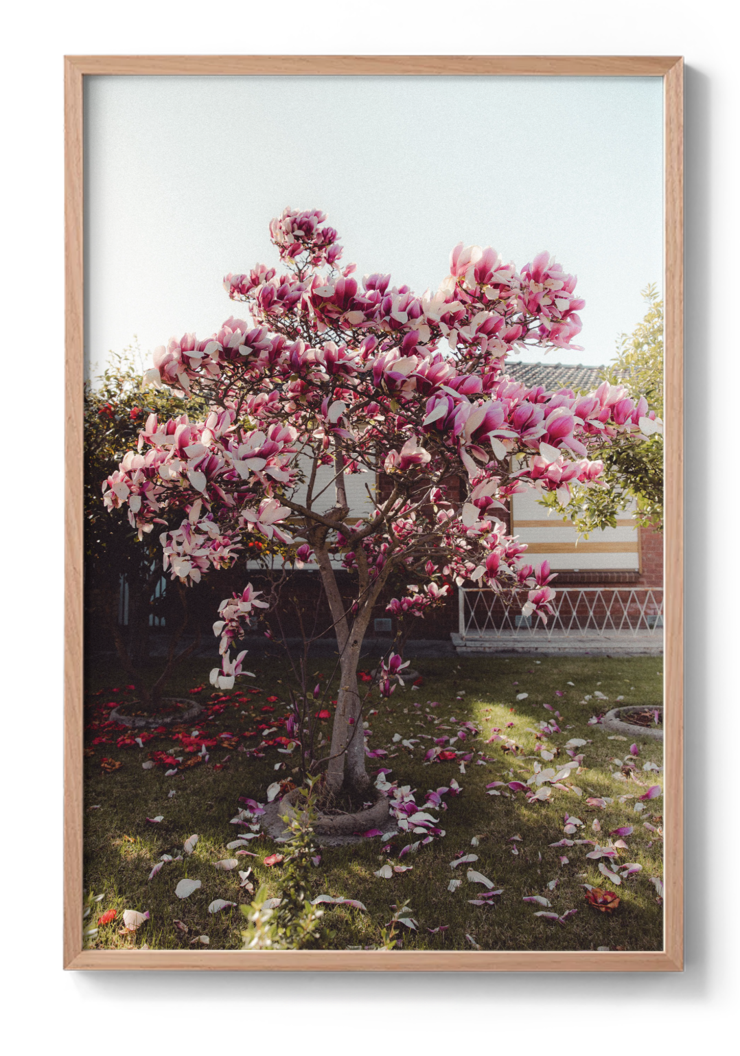 Screenshot 2025-11-28 at 12.15.51 pm.png