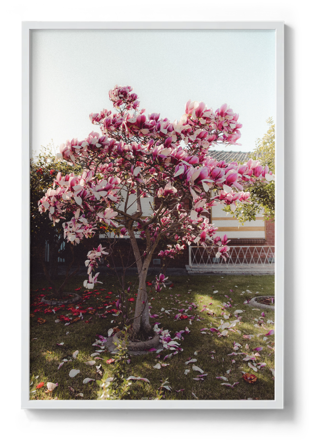 Screenshot 2025-11-28 at 12.15.44 pm.png