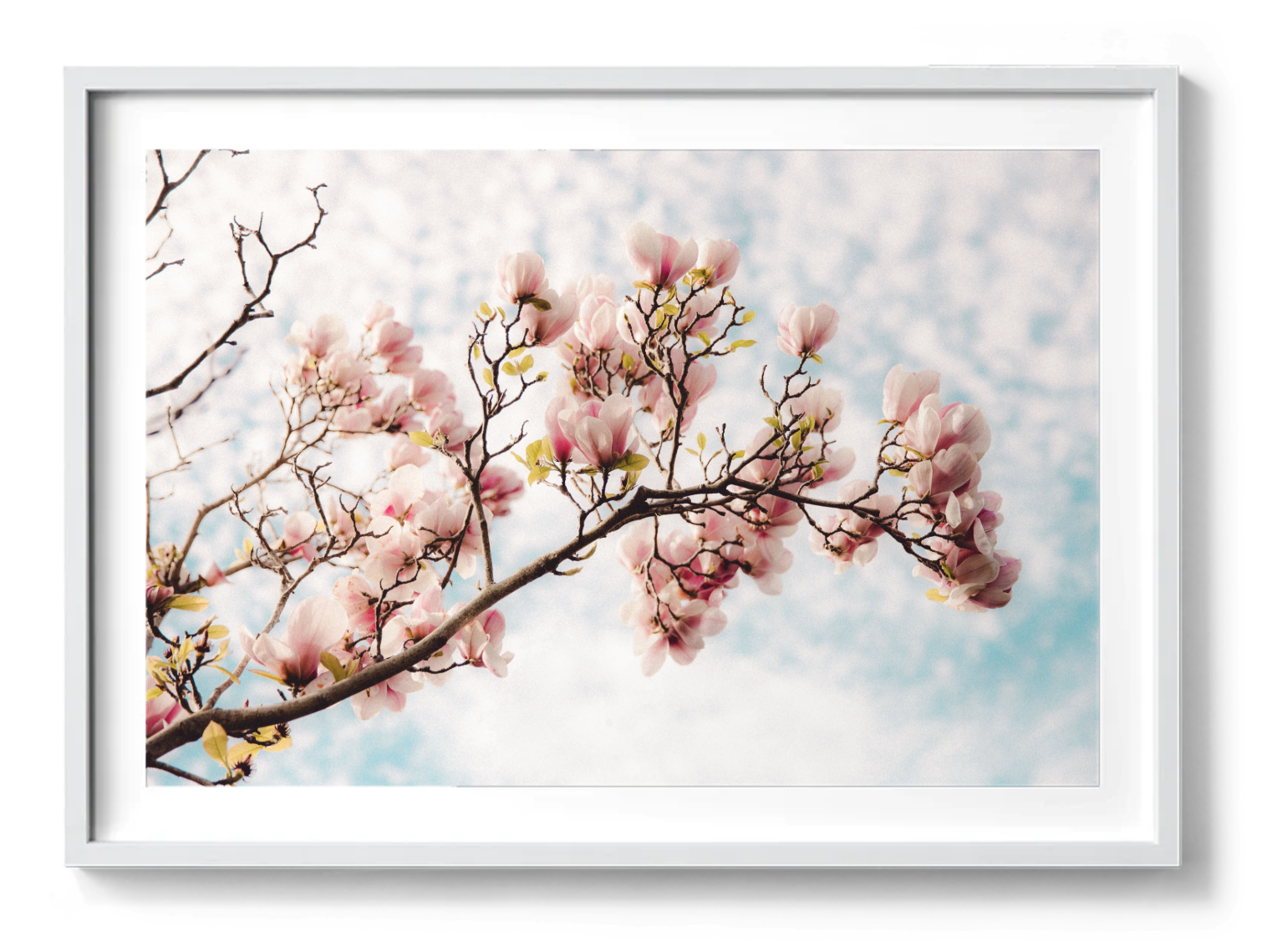 Screenshot 2025-11-28 at 12.17.02 pm.png