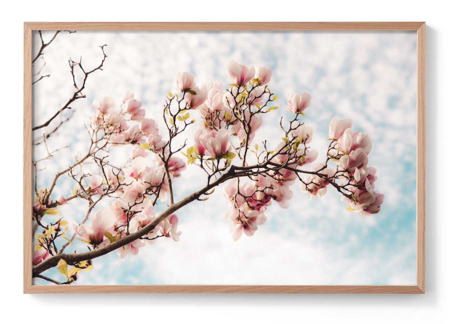 Screenshot 2025-11-28 at 12.16.43 pm.png