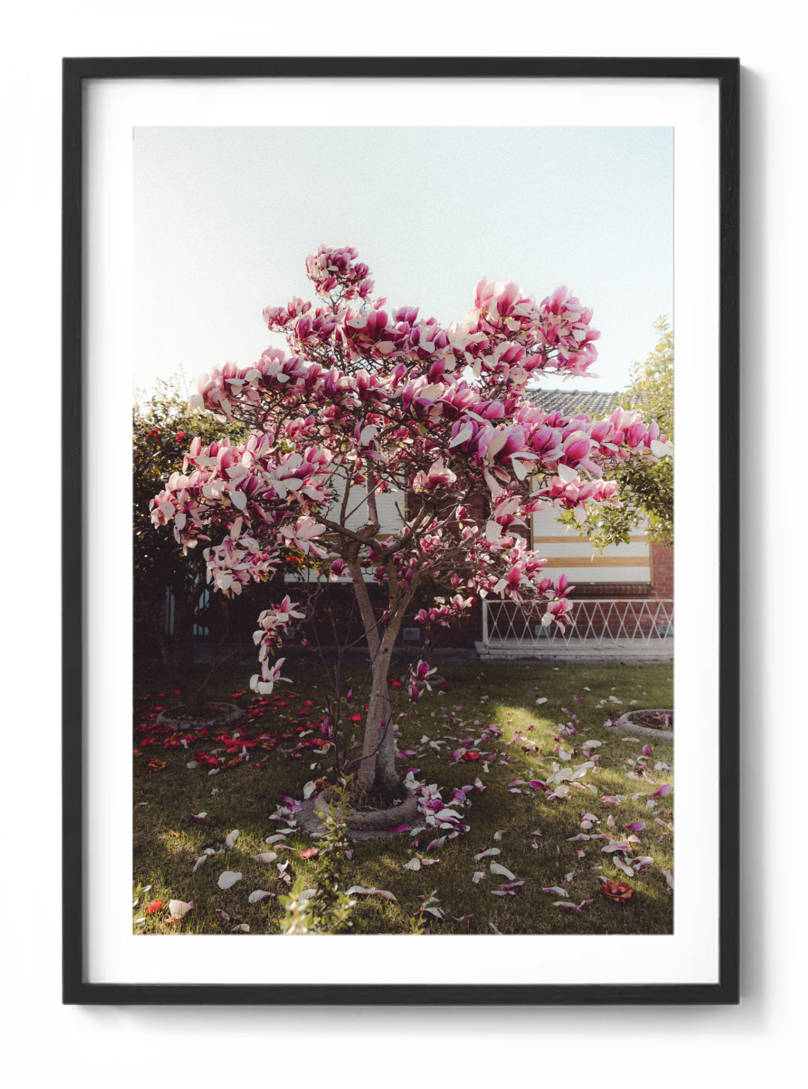 Screenshot 2025-11-28 at 12.15.29 pm.png