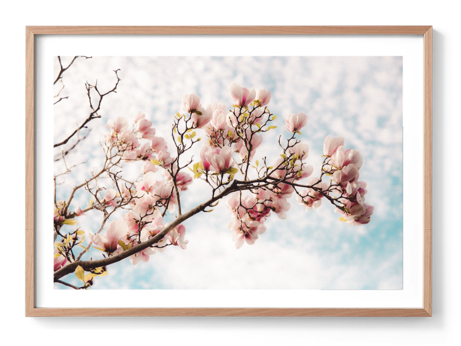 Screenshot 2025-11-28 at 12.16.36 pm.png