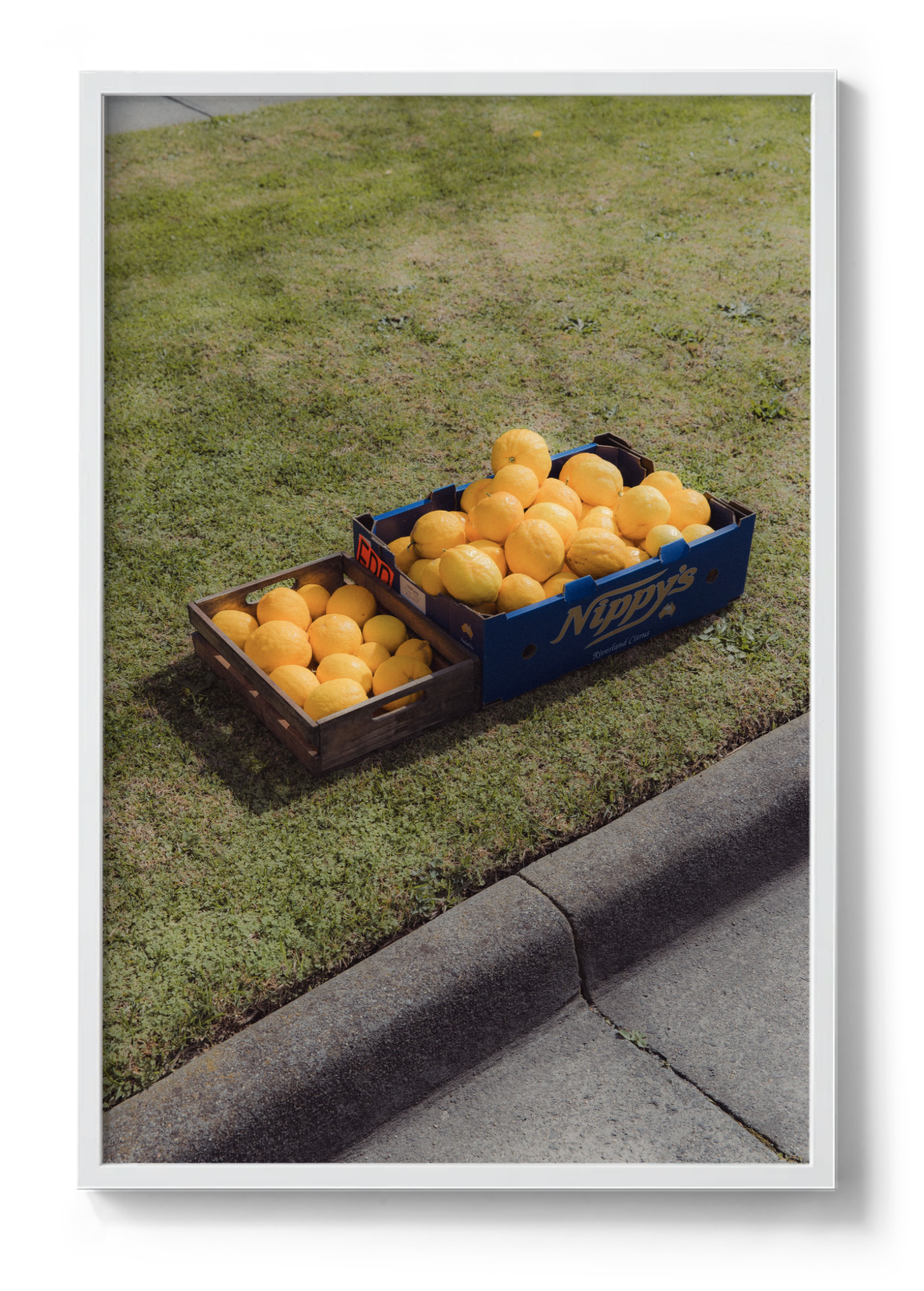 Screenshot 2025-11-28 at 12.14.36 pm.png