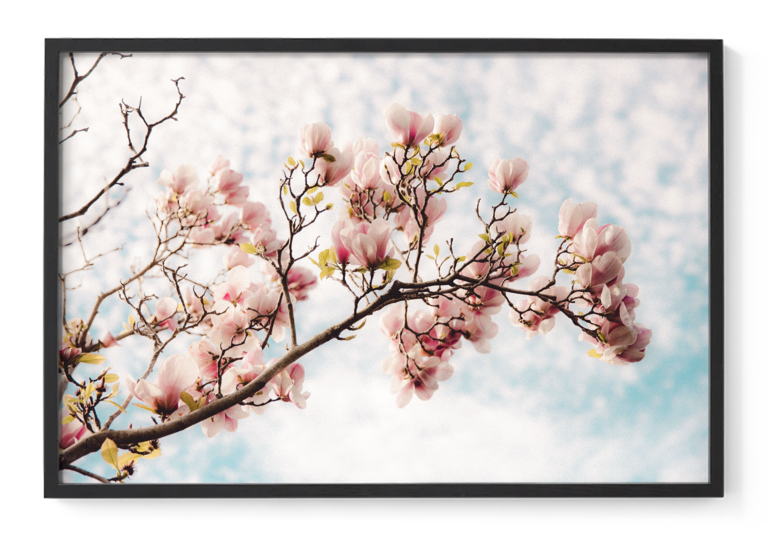 Screenshot 2025-11-28 at 12.17.17 pm.png