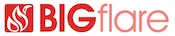 big flare digital marketing logo 