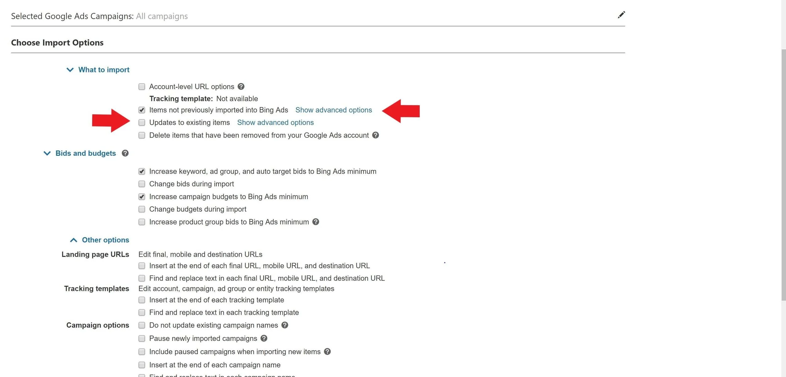 bing ads advanced options.jpg