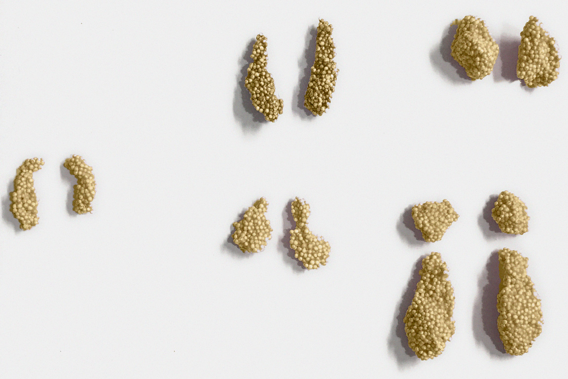 blobs-gold-design.jpg
