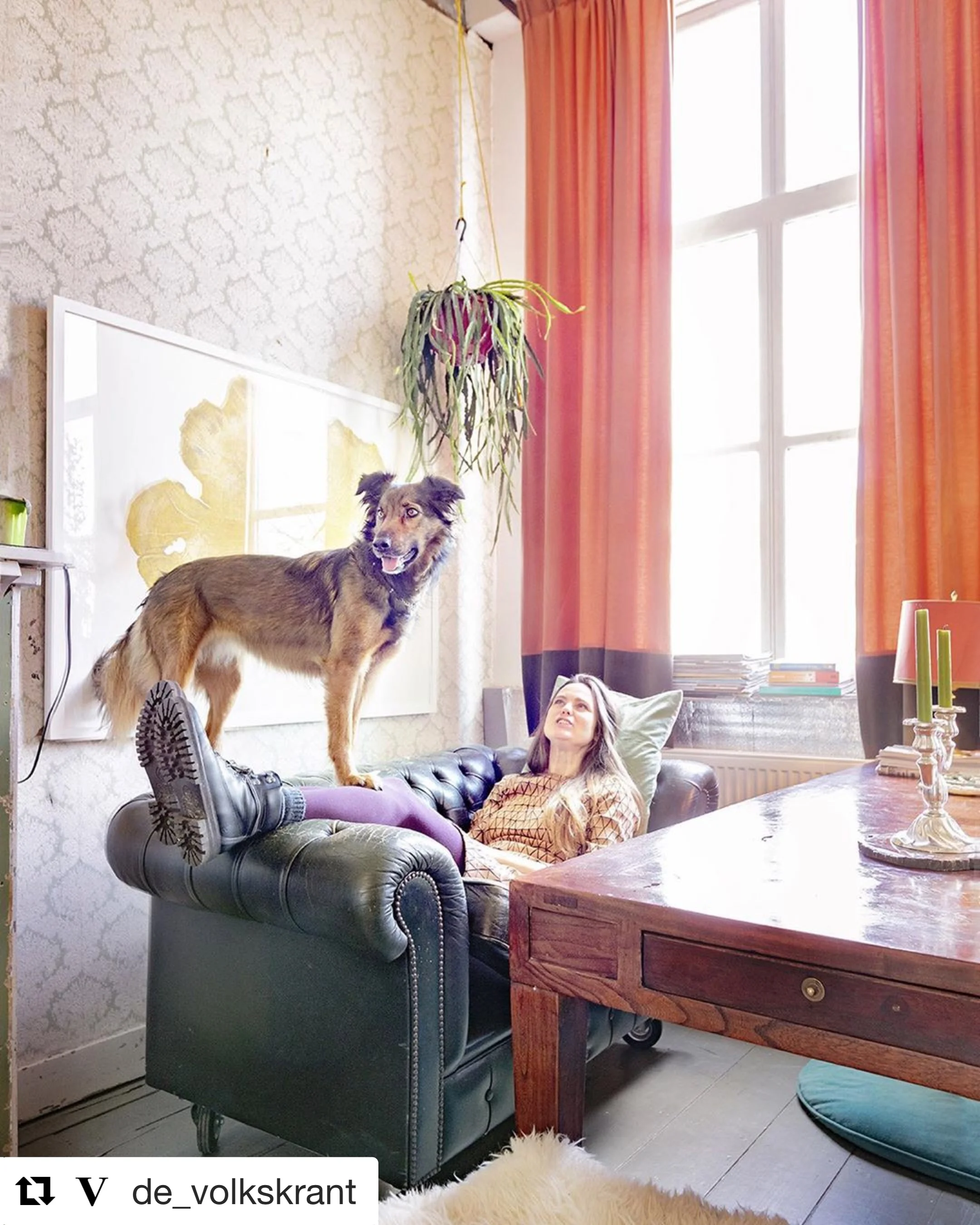 We staan in Volkskrant magazine