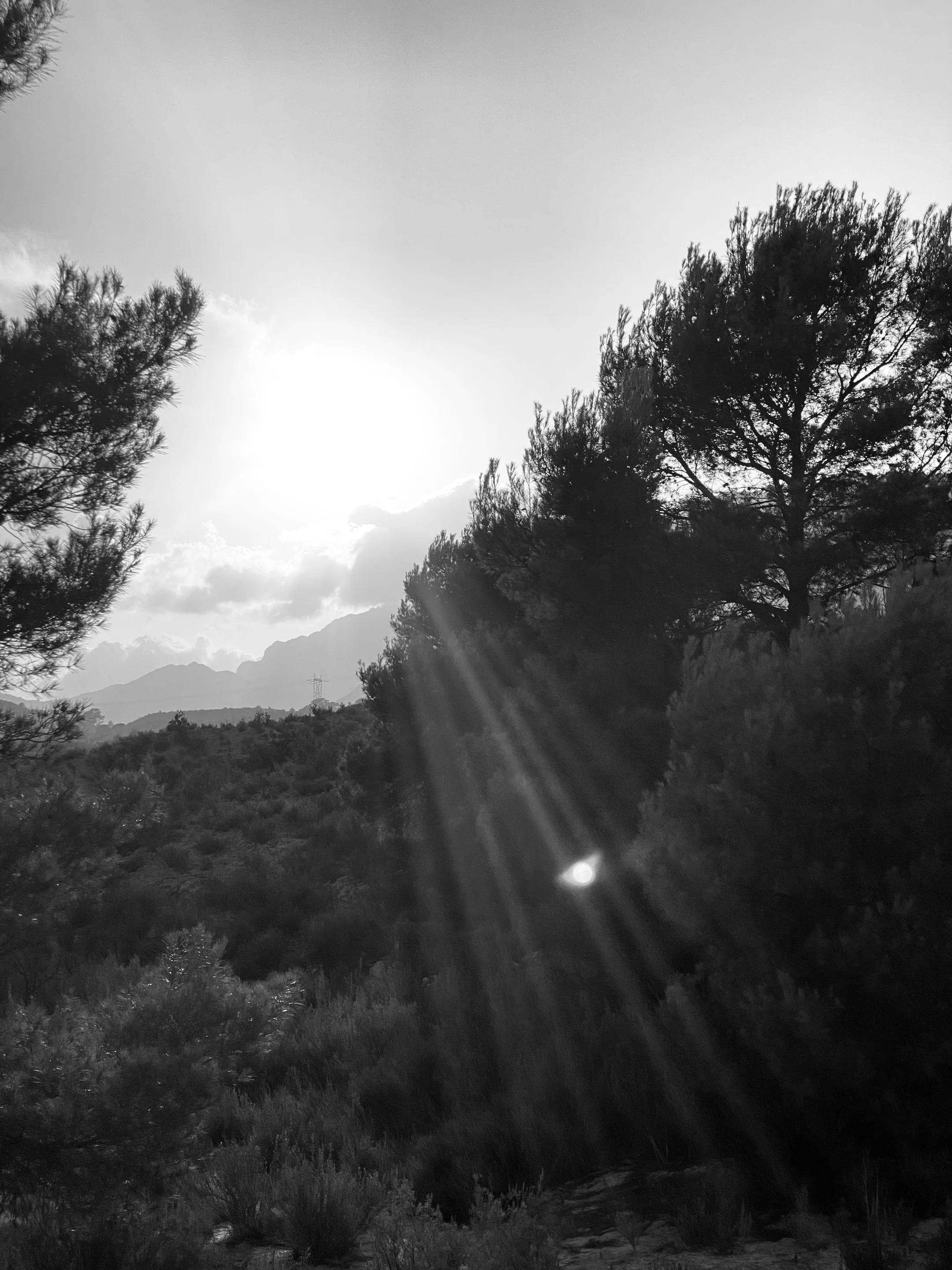 Save the Date - Februari/Maart Tentoonstelling 2025