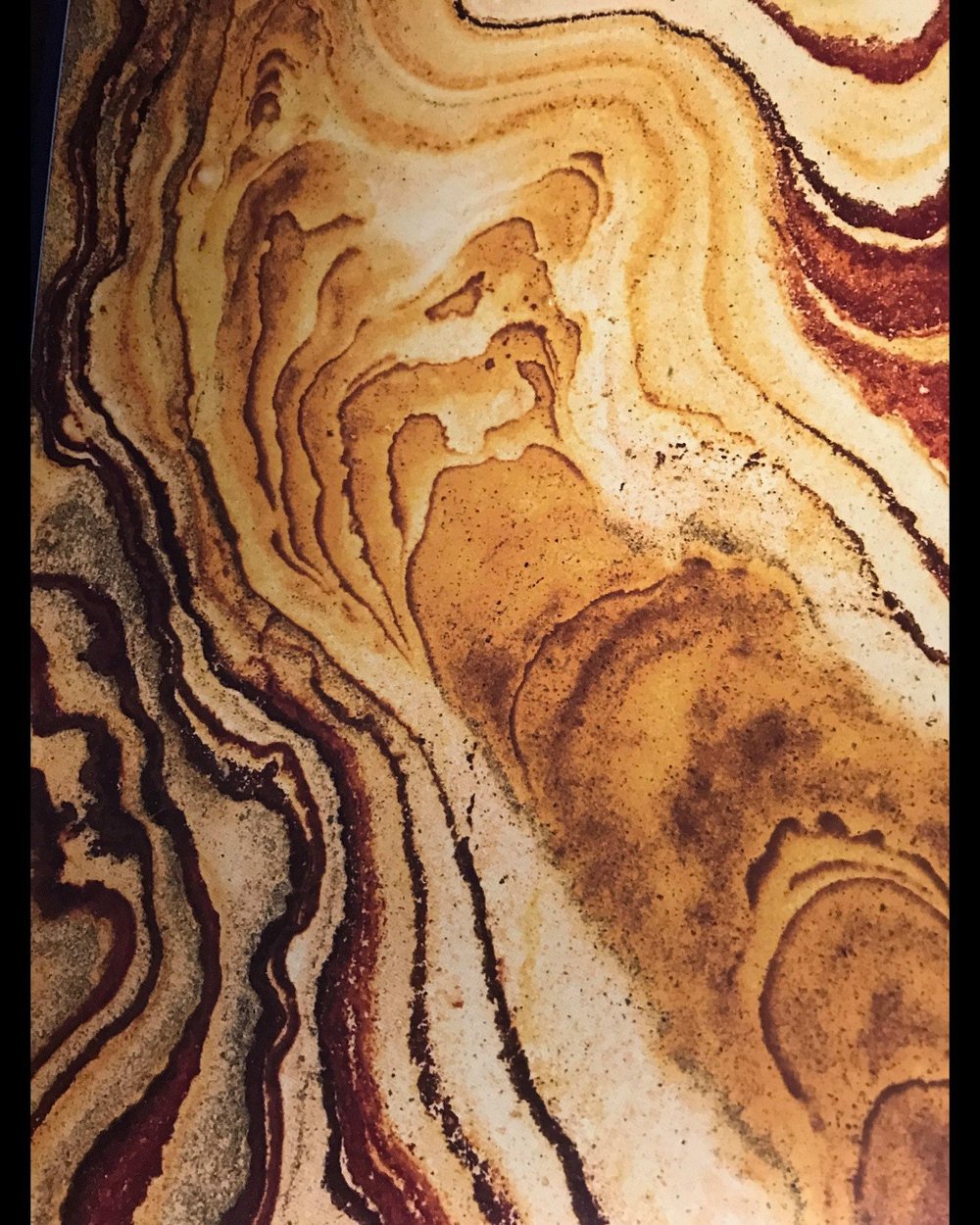 I&rsquo;d love to share my latest discoveries with you at my next exhibition. 🌿💫

Pictures: Frans Lanting