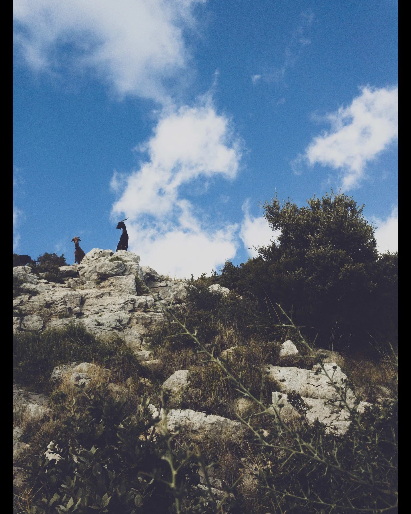 Inspirations✨

This was at 'the path of the gods' in Amalfi, Italy by the way. The god eos of dawn was not far away :)
xx