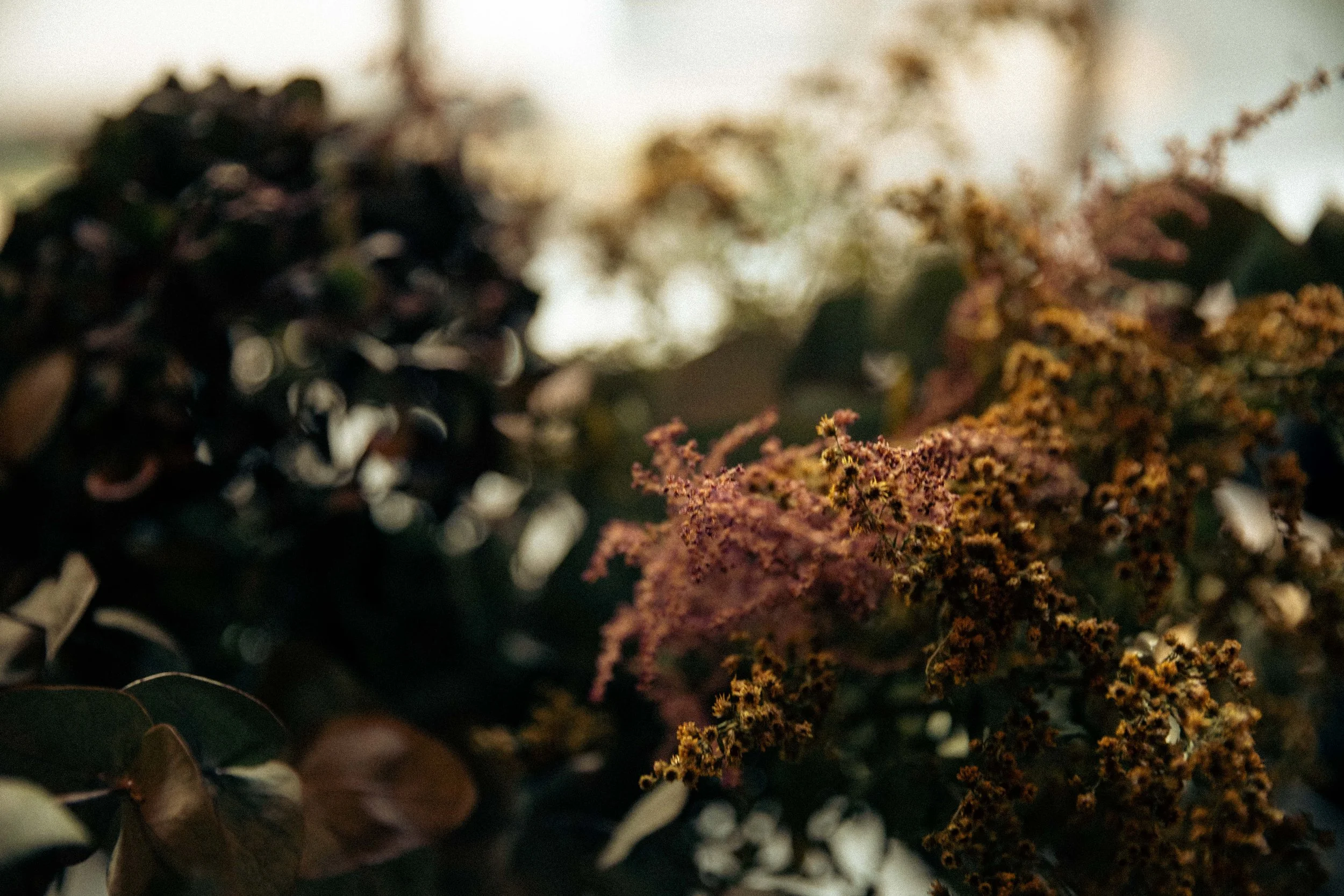 Tamp x Saint's Coffee-4.jpg