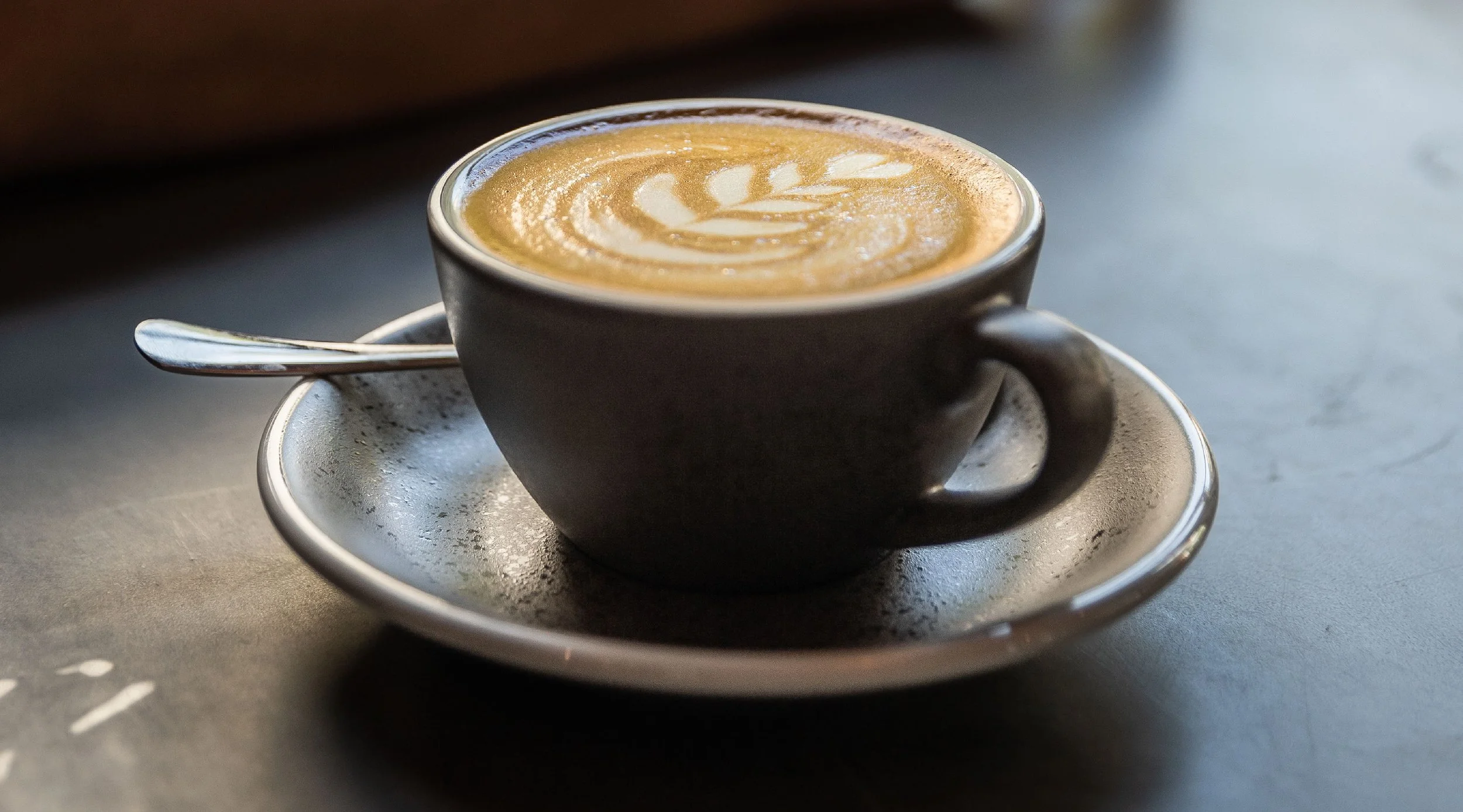 Tamp Web Banner Mug-01.jpg