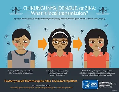 Mosquito Control