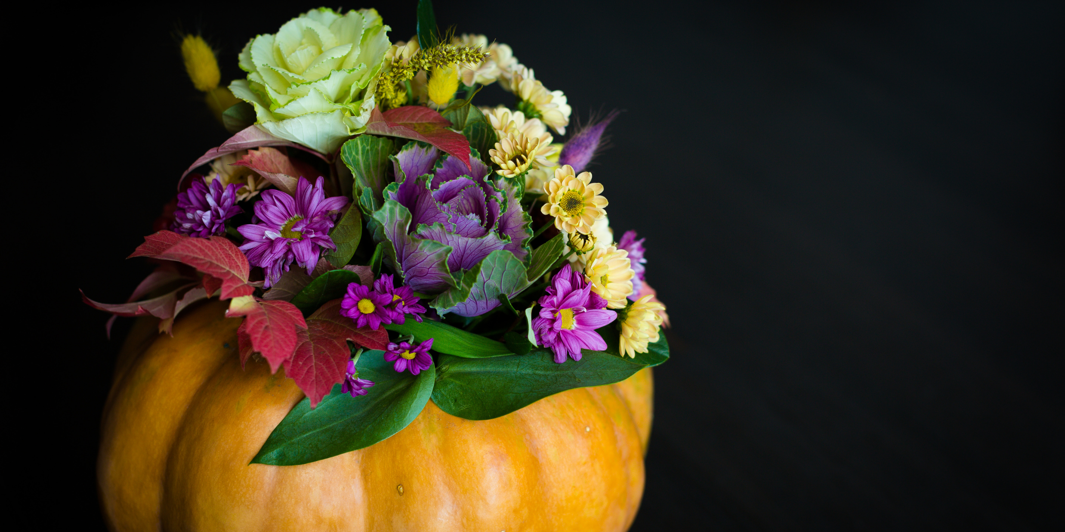 Untitled design (1).png