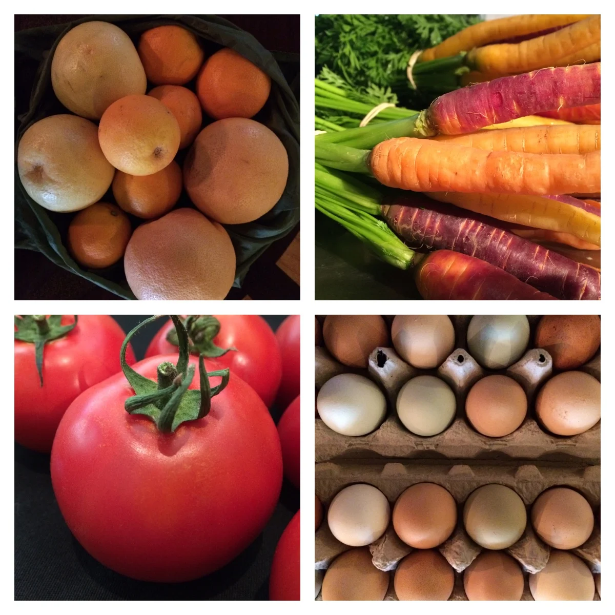 VegIngredients.jpg