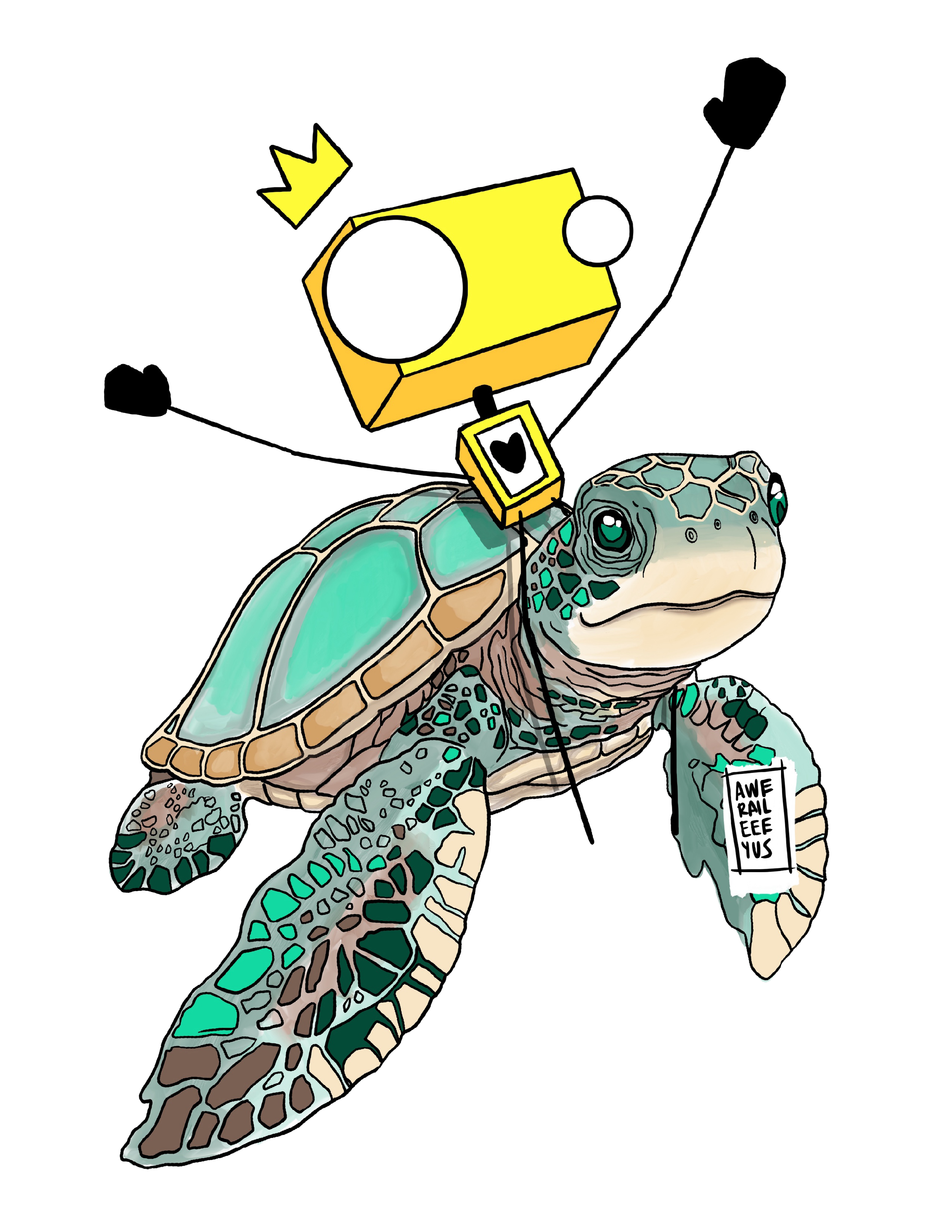 turtle.png