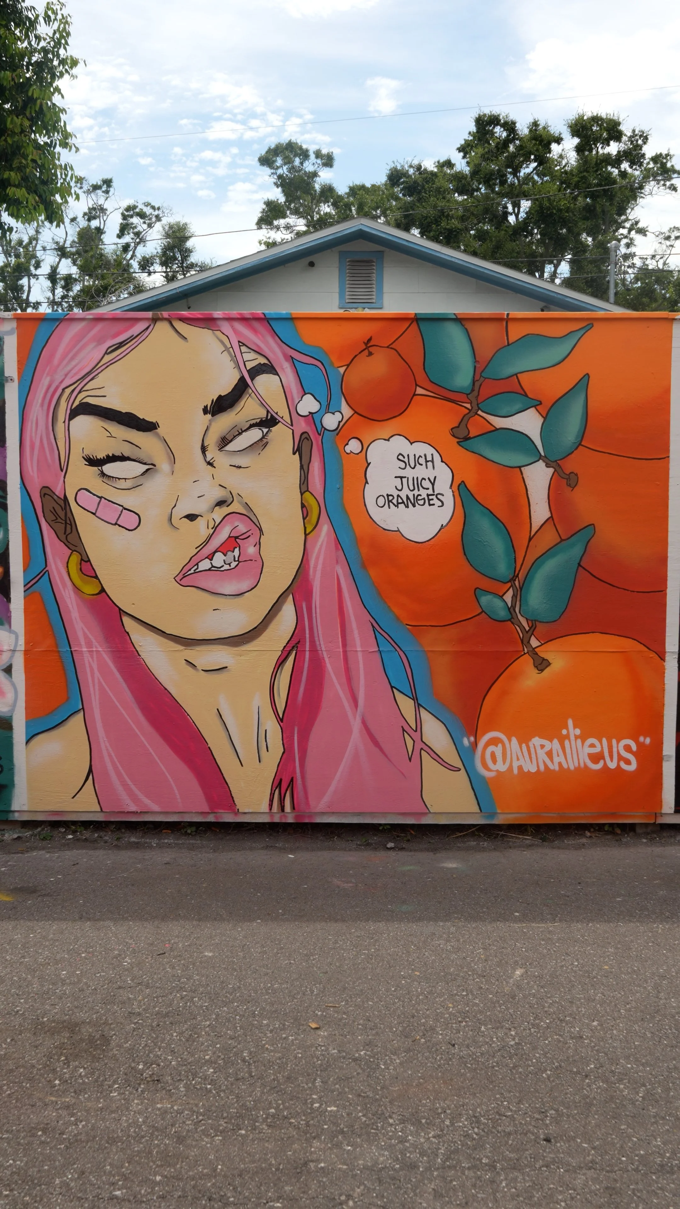 aurailieusmural.jpg